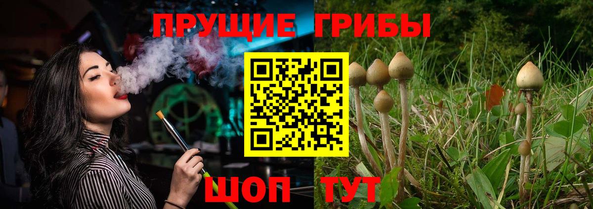 Псилоцибиновые грибы мухоморы  Вход с VPN  Полевской  Псилоцибиновые грибы мицелий 